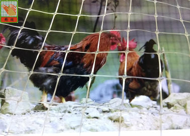カスタマイズされた明確なプラスチック鶏の家禽の塀は、プラスチック家禽、高い引張強さ、高い1.5M囲います