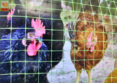 強い緑のプラスチック鶏の塀、Plsticの家禽の網、容易な取付け高い、2M PP材料