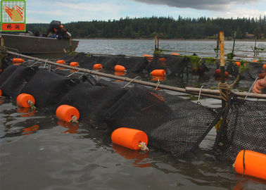 突き出された正方形の水産養殖の網のプラスチック カキの網1m広く黒い色